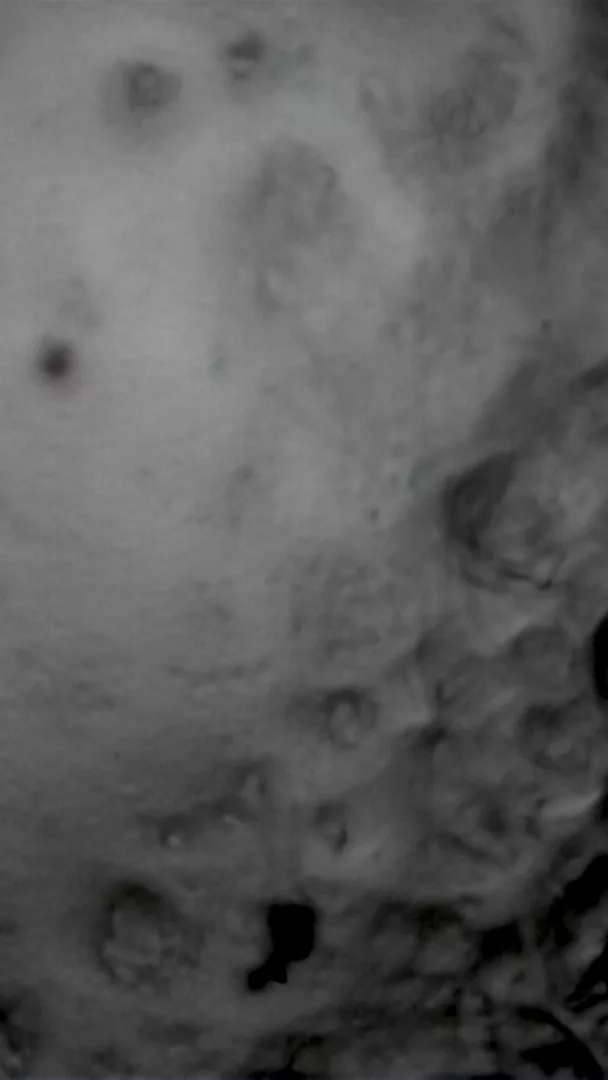 Non è mica la Luna