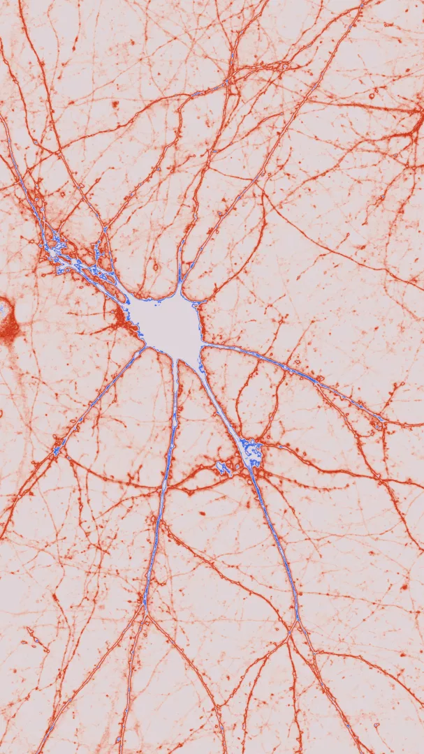 Geografie della connessione