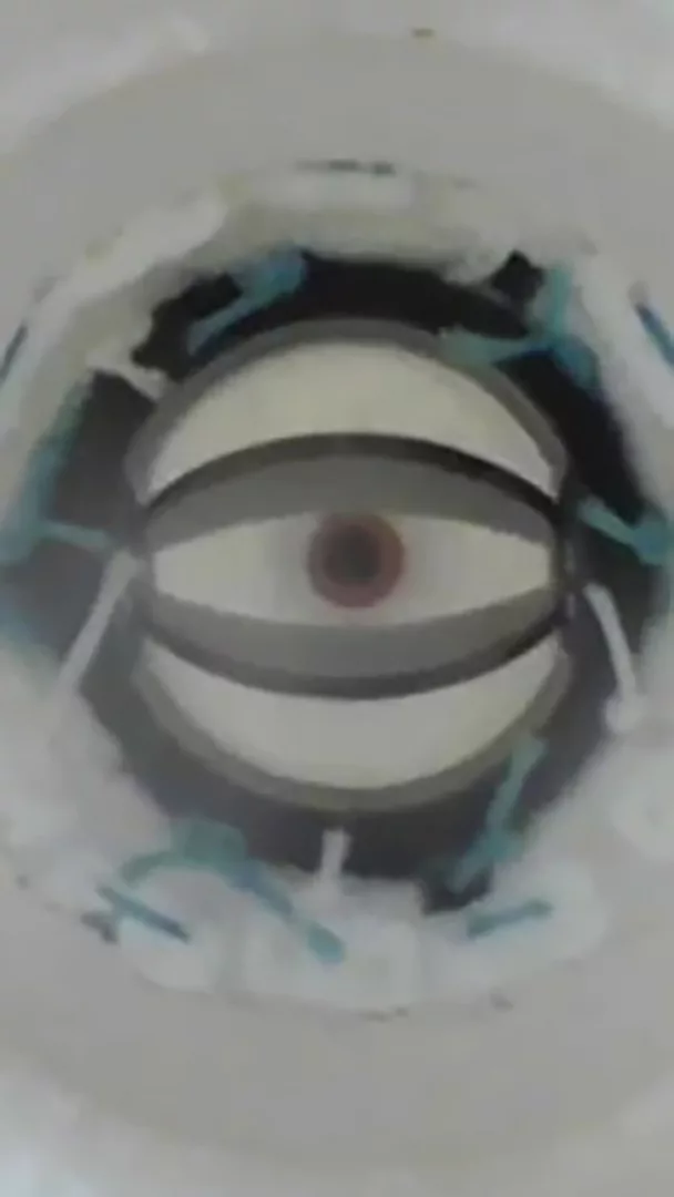 Lo sguardo del battito