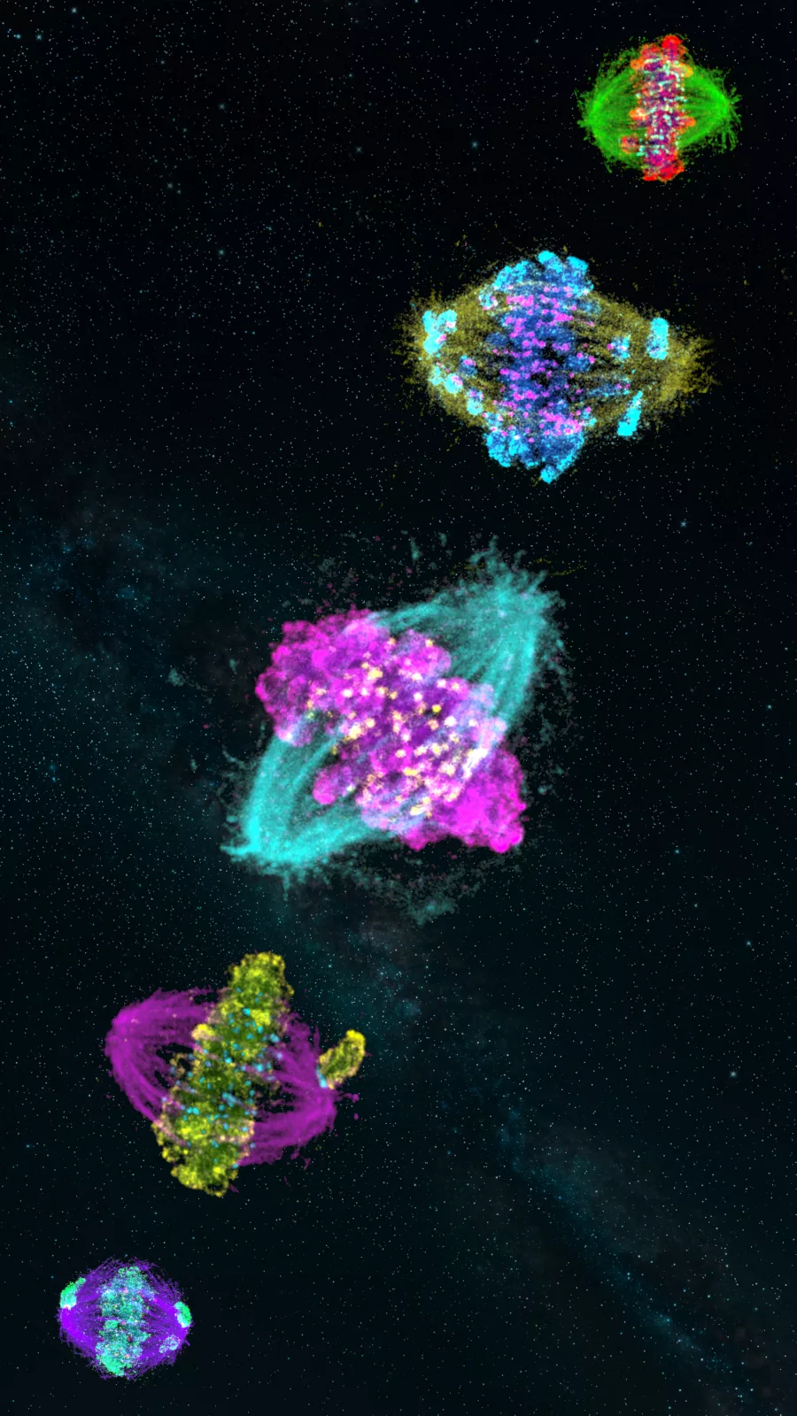 INNER COSMOS: CROMOSOMI FUORI ORBITA